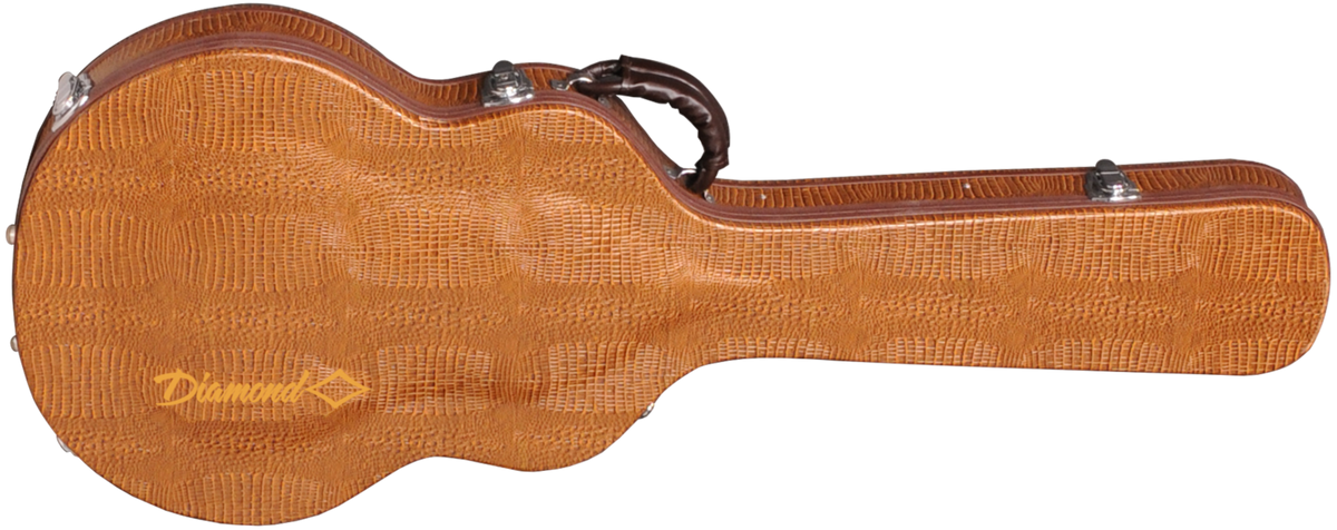 Guitar Cases